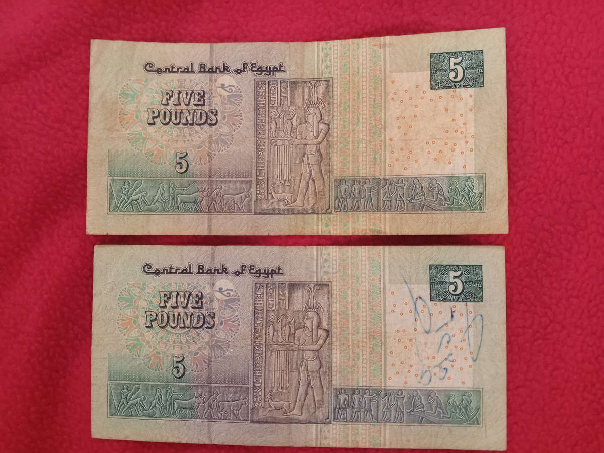 Egypt Pound Notes