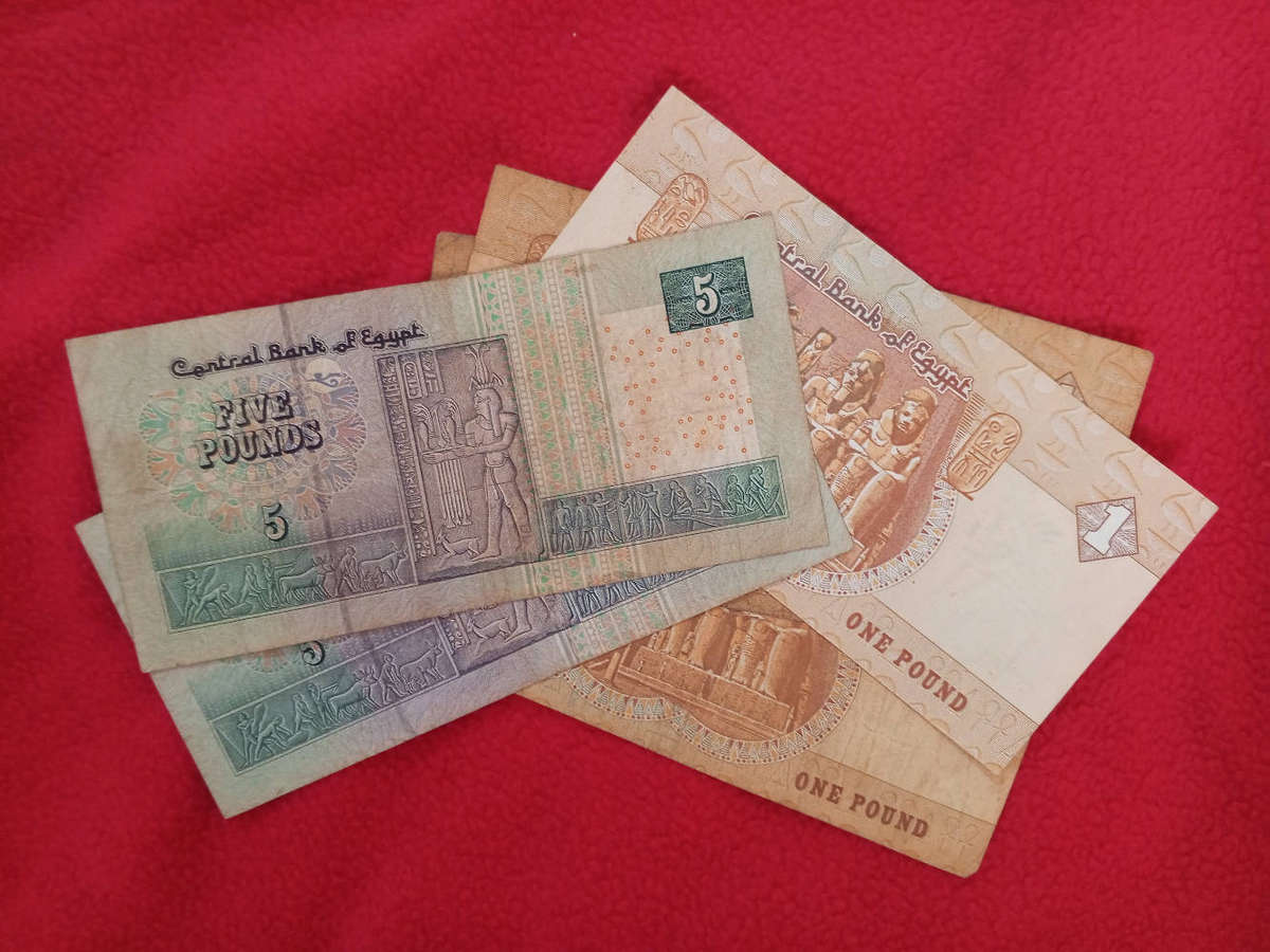 Egypt Pound Notes