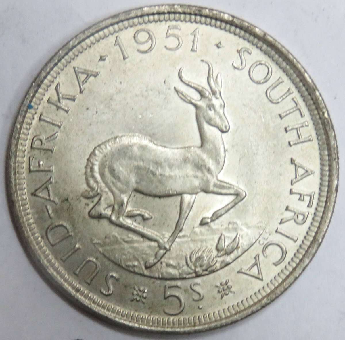 1951 South Africa 5 Shillings   UNC