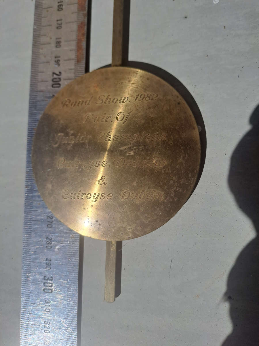 clock pendulum diam 80mm 72 grams