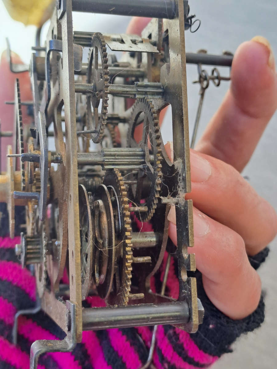 regula cuckoo clock movement