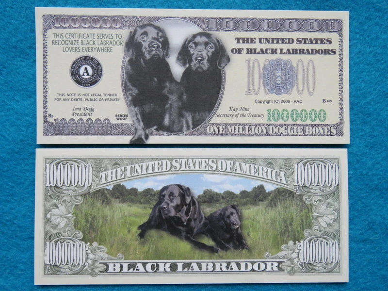 BLACK LABRADORS DOG LOVERS NOVELTY MILLION DOLLAR BILL