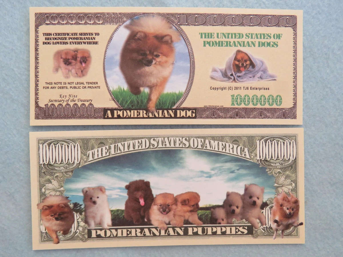 POMERANIAN PUPPIES DOG LOVERS NOVELTY MILLION DOLLAR BILL