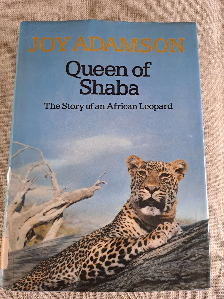 Queen of Shaba  The story of an African Leopard