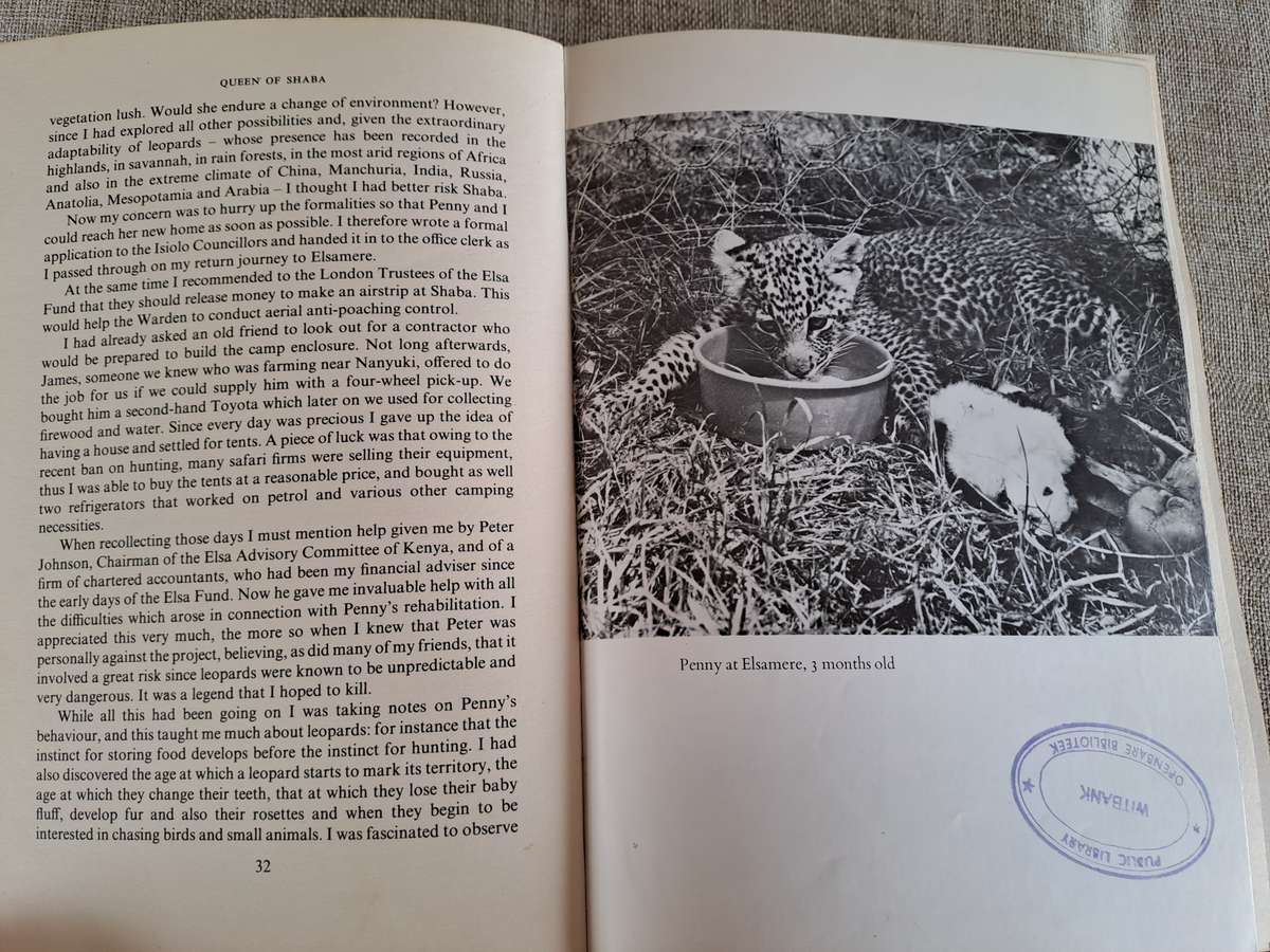 Queen of Shaba  The story of an African Leopard