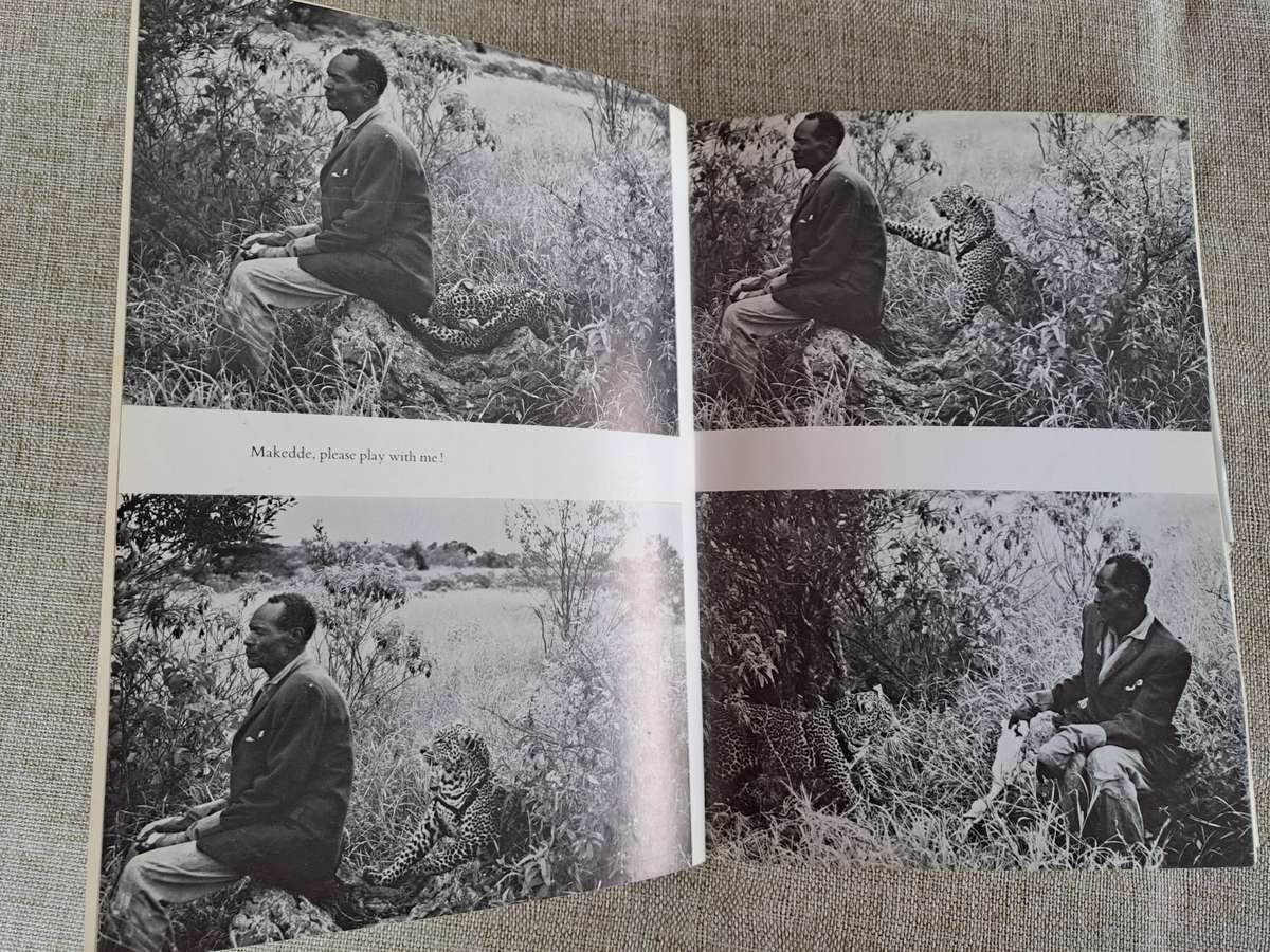 Queen of Shaba  The story of an African Leopard