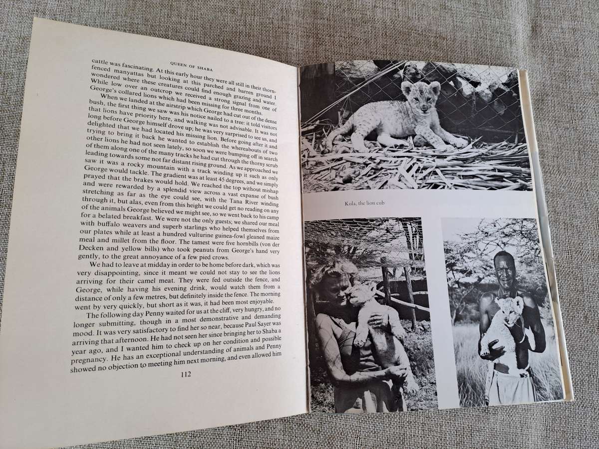 Queen of Shaba  The story of an African Leopard