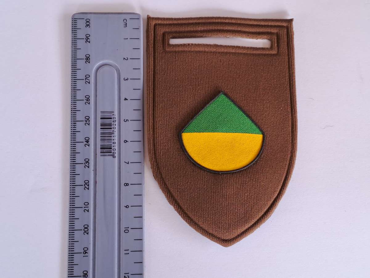 SADF Tupper Flash with pin (Delta Company)
