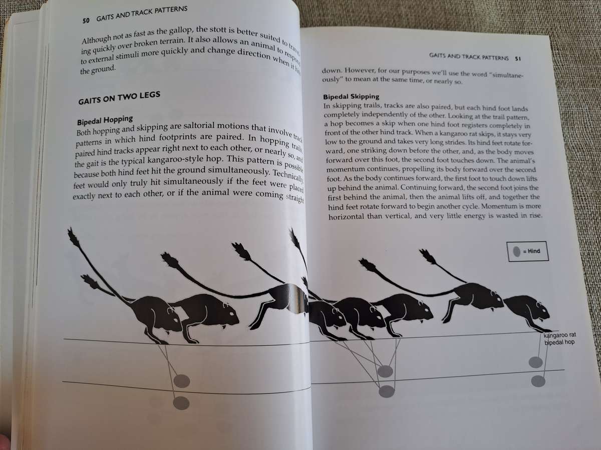 Practical Tracking: A Guide to Following Footprints & Finding Animals