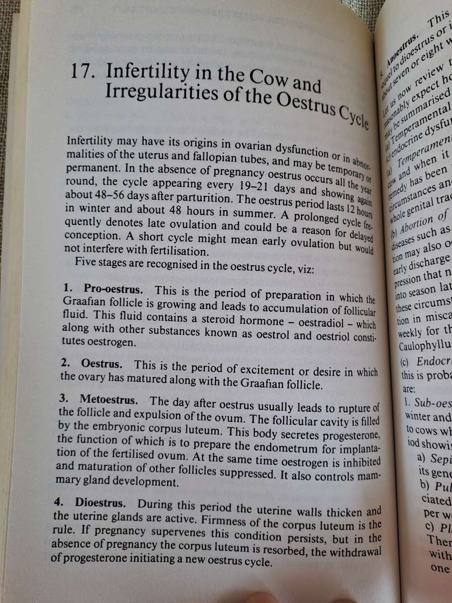 The Treatment of Cattle by Homoeopathy - George MacLeod