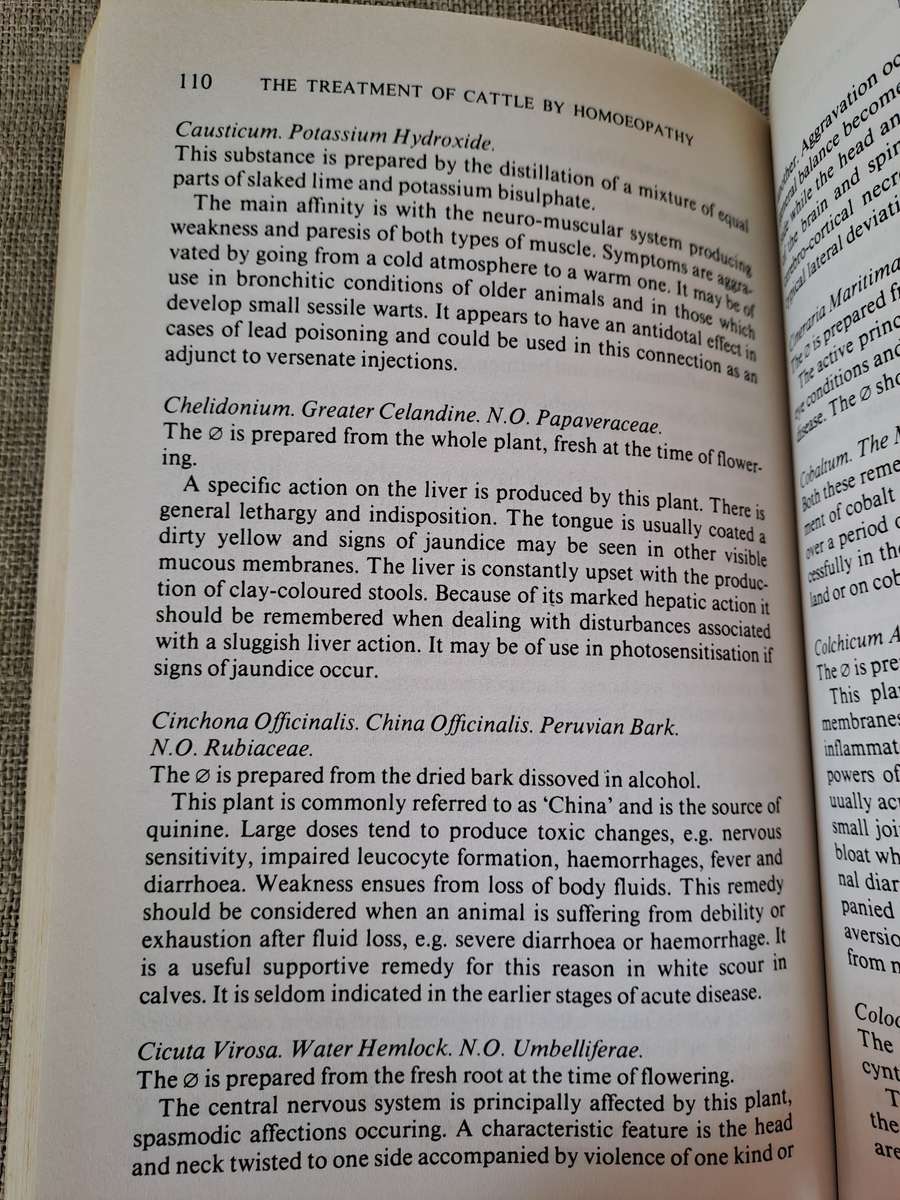 The Treatment of Cattle by Homoeopathy - George MacLeod