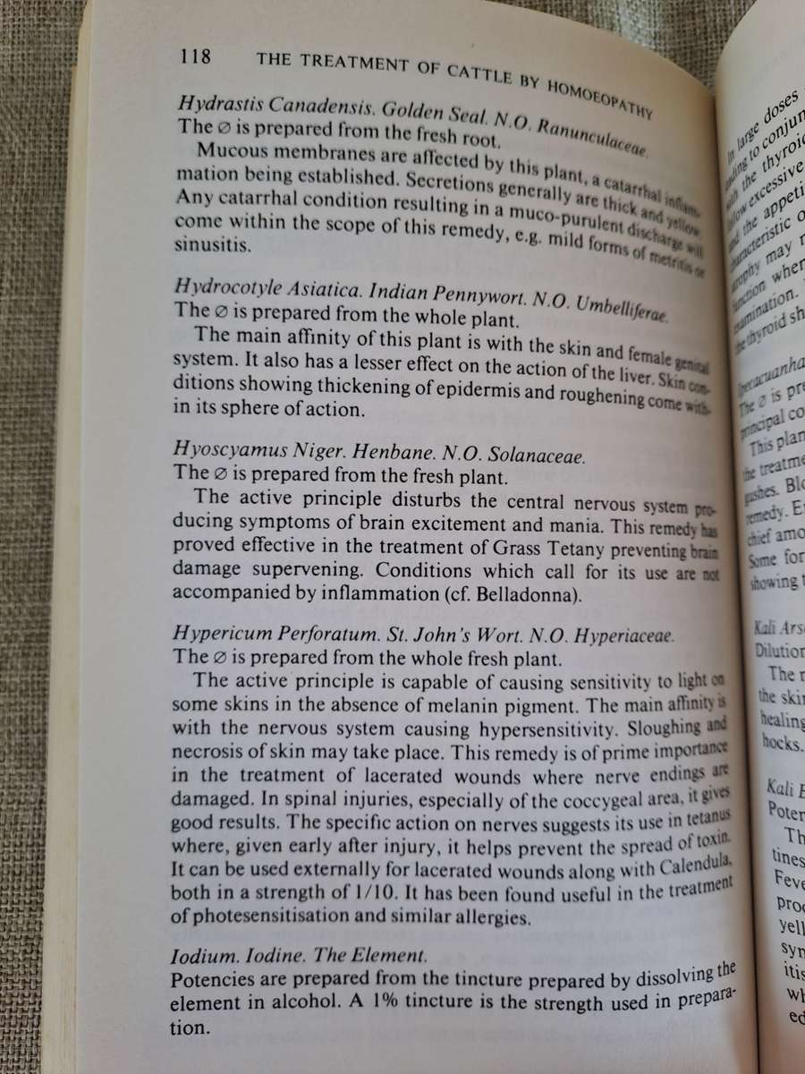 The Treatment of Cattle by Homoeopathy - George MacLeod
