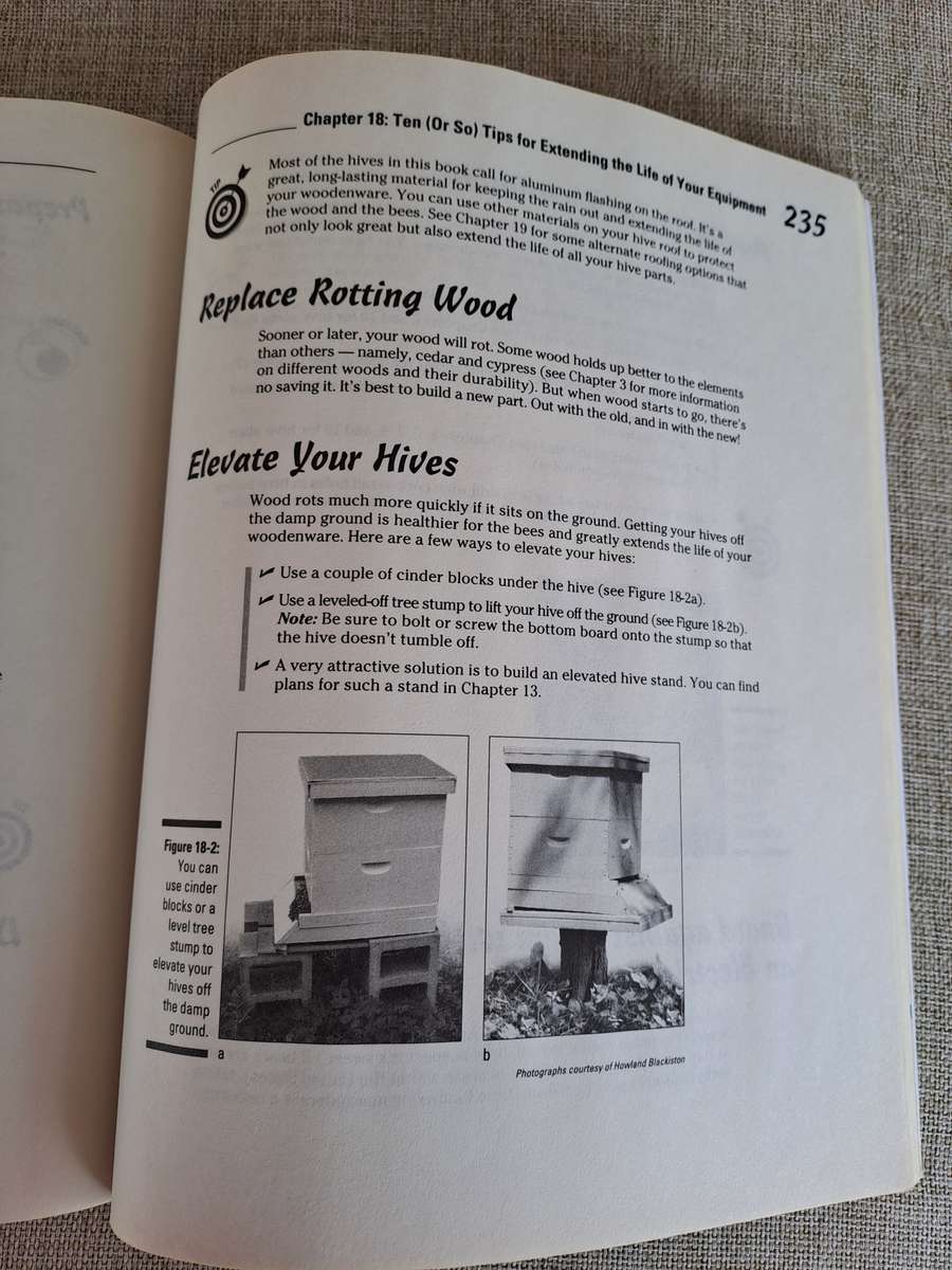 Building Beehives for Dummies - Howland Blackiston