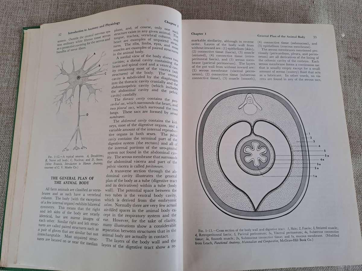 Anatomy and Physiology of Farm Animals - R.D. Frandson