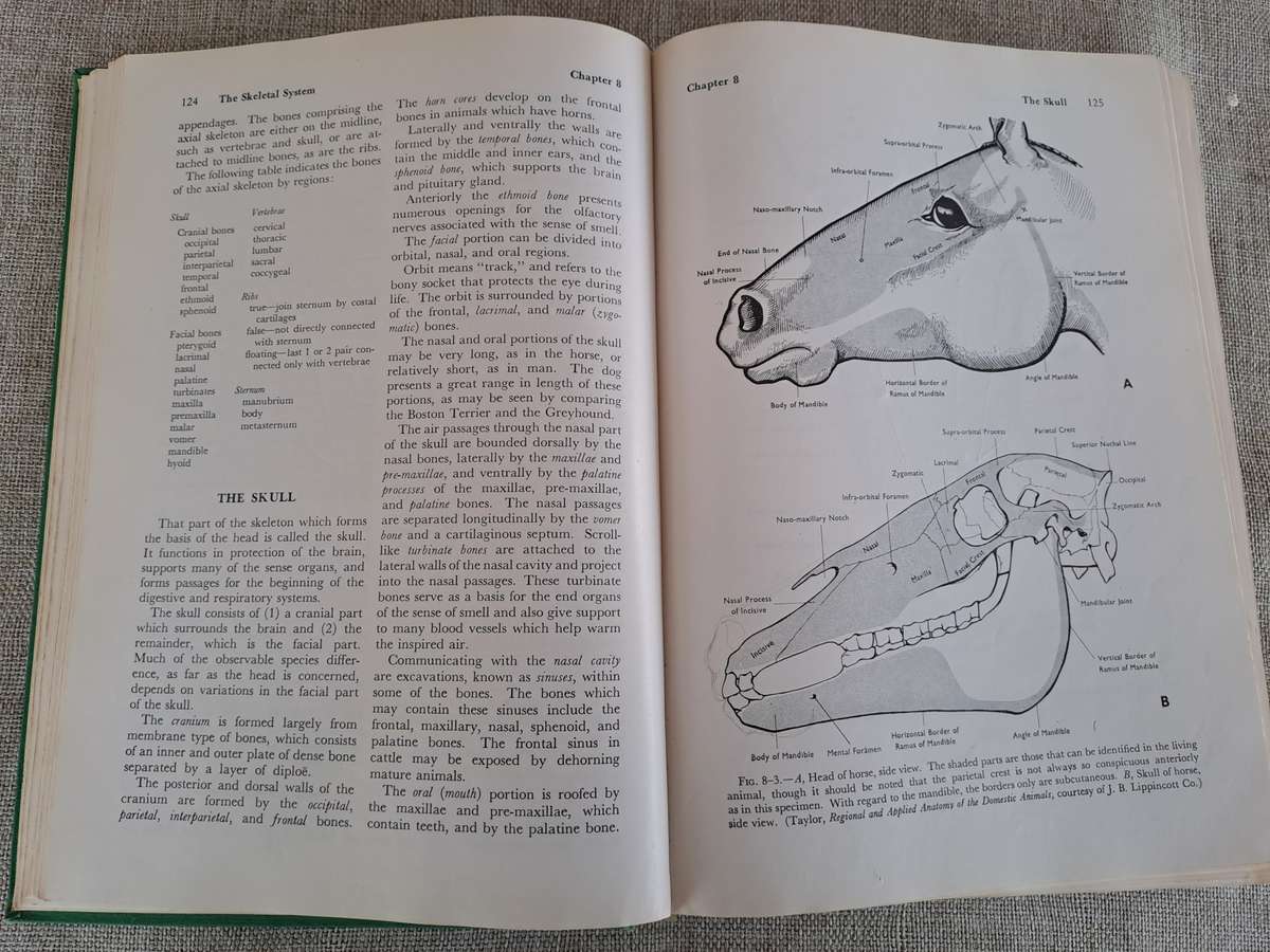 Anatomy and Physiology of Farm Animals - R.D. Frandson