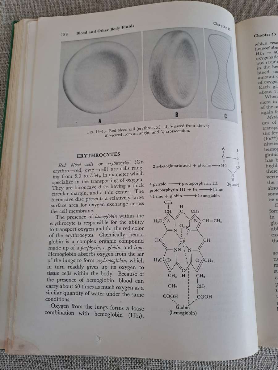 Anatomy and Physiology of Farm Animals - R.D. Frandson