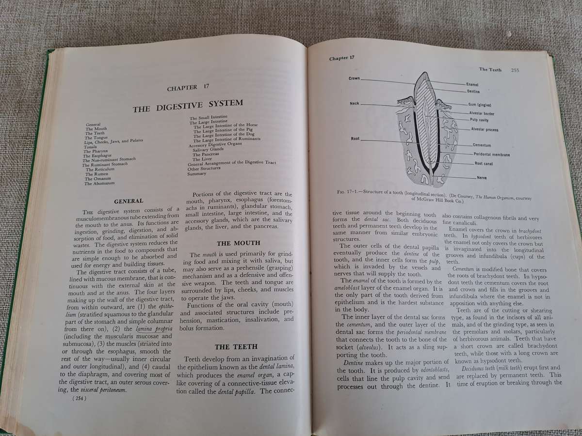Anatomy and Physiology of Farm Animals - R.D. Frandson