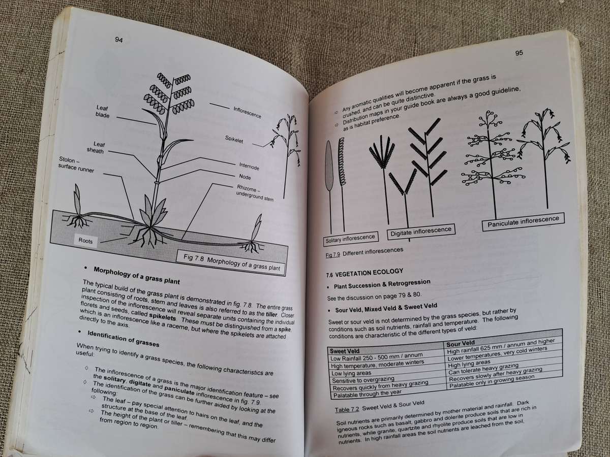 Nature and Field Guiding Books  set of 4 books