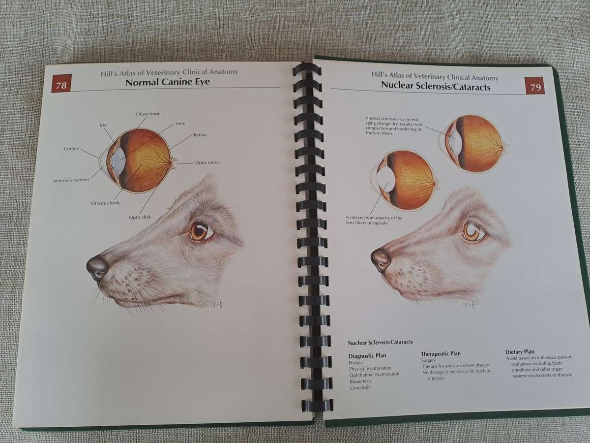 Hills Atlas of Veterinary Clinical Anatomy