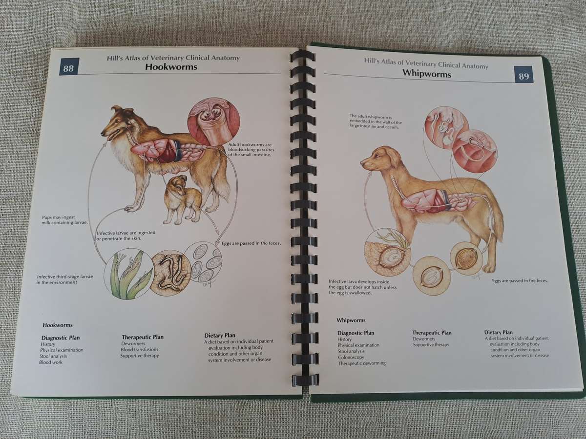 Hills Atlas of Veterinary Clinical Anatomy