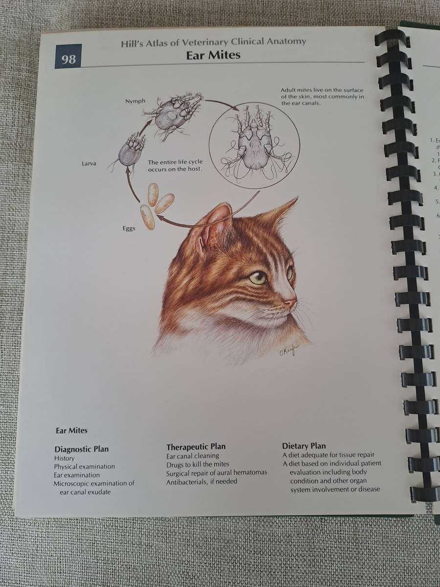 Hills Atlas of Veterinary Clinical Anatomy