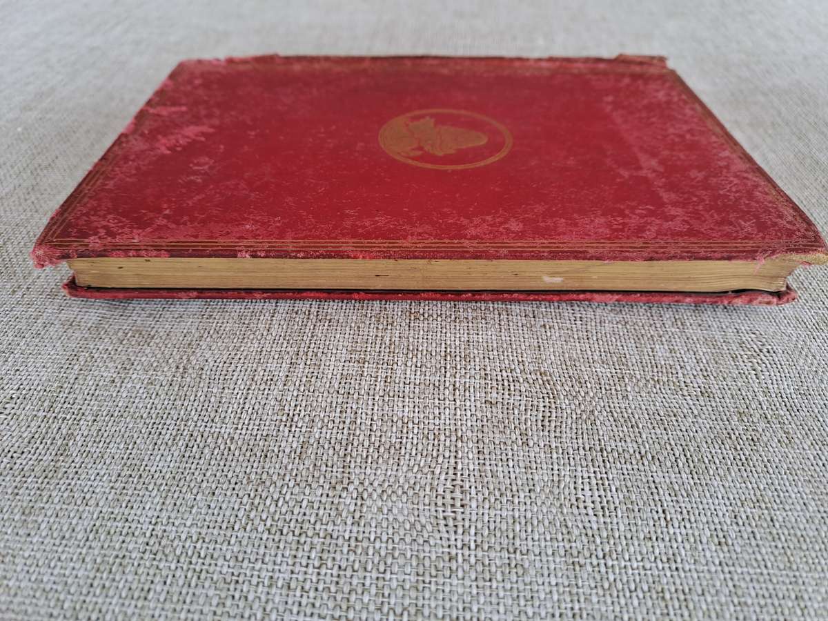 Alice's Adventures in Wonderland 1886 - Lewis Carroll