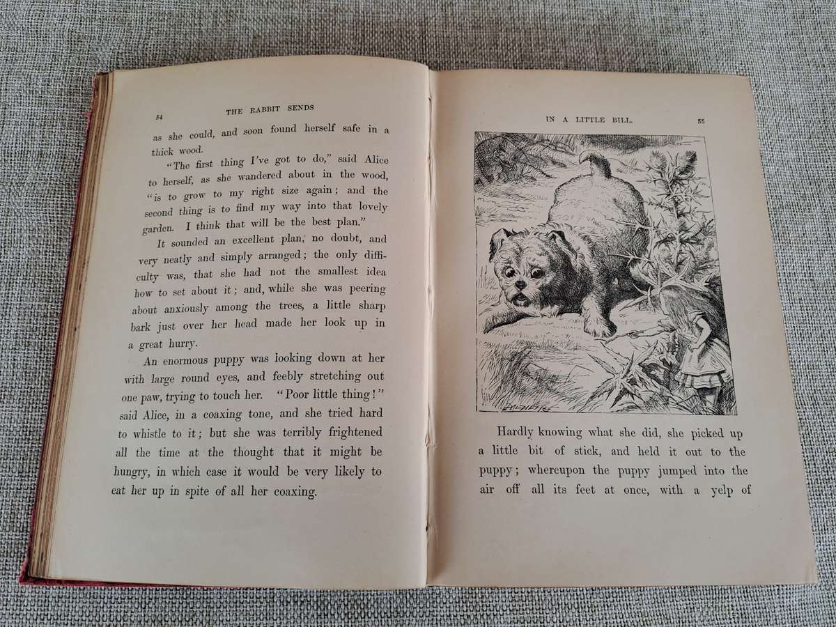 Alice's Adventures in Wonderland 1886 - Lewis Carroll