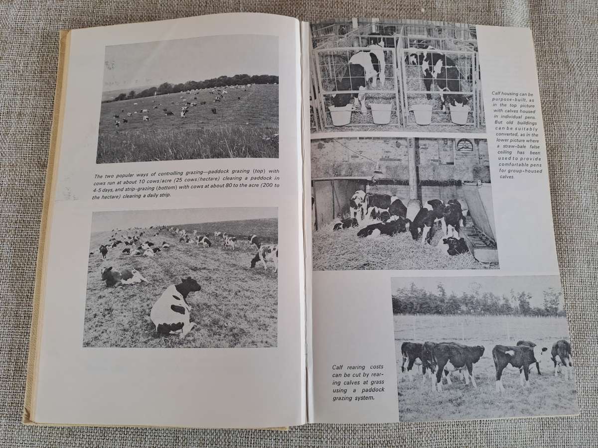 The Herdsman's Book