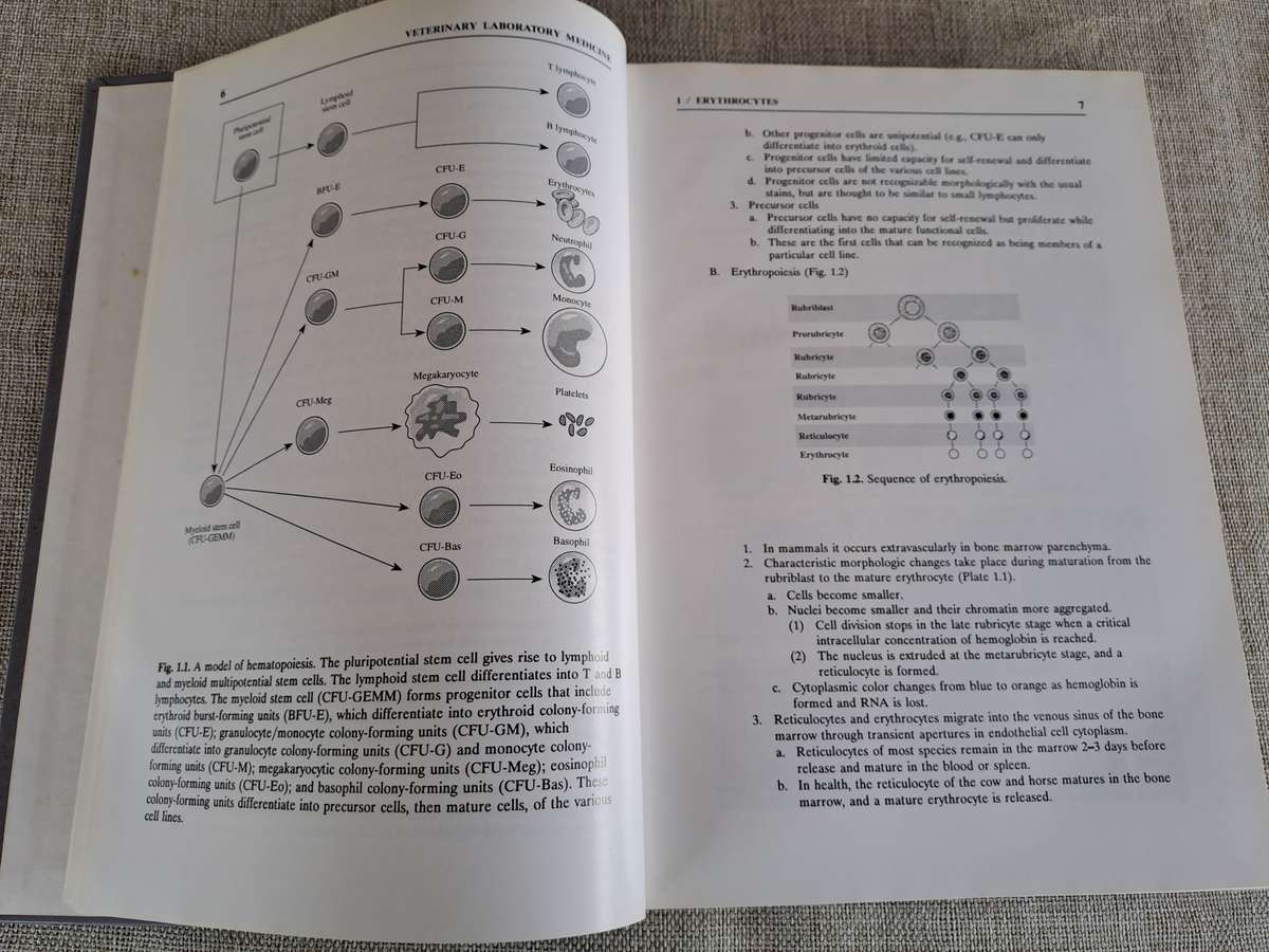 Veterinary Laboratory Medicine  Clinical Pathology 3rd Edition