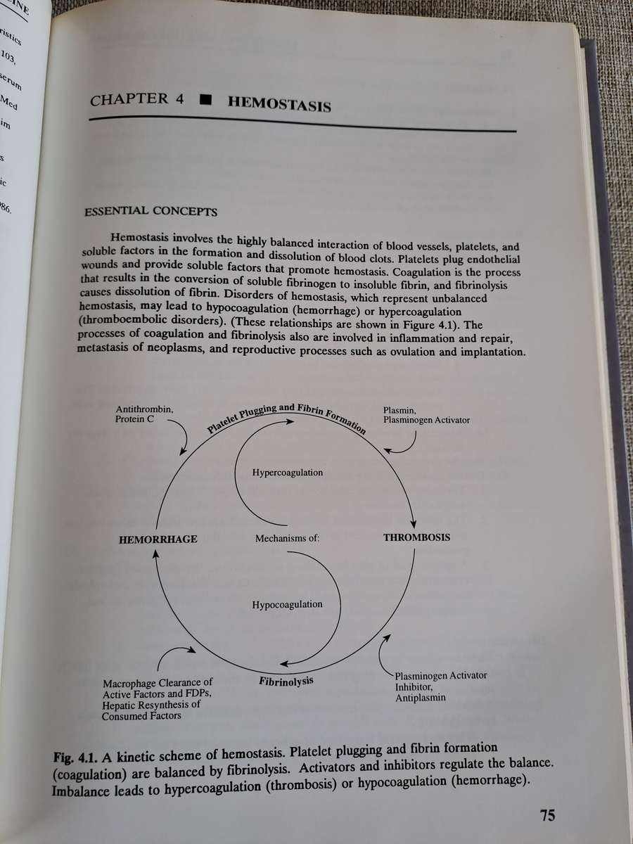 Veterinary Laboratory Medicine  Clinical Pathology 3rd Edition
