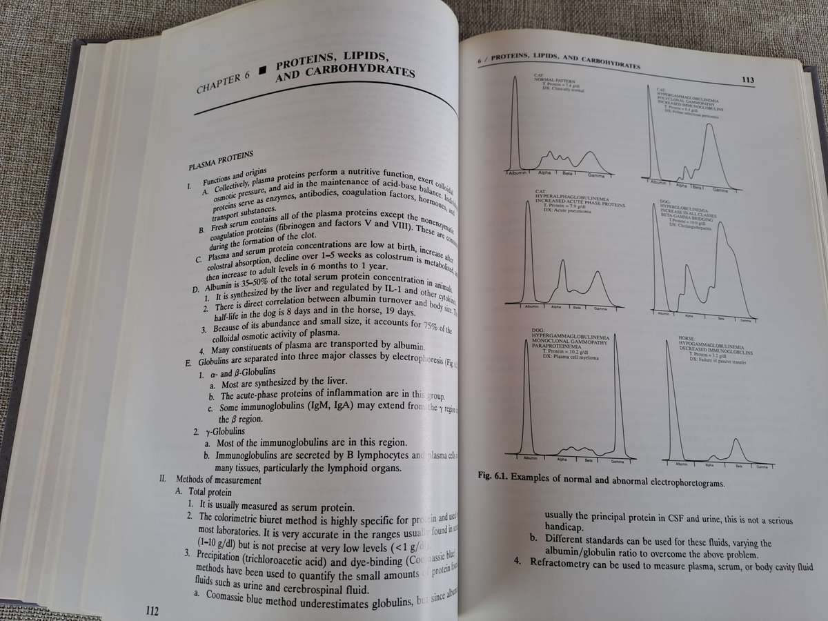 Veterinary Laboratory Medicine  Clinical Pathology 3rd Edition