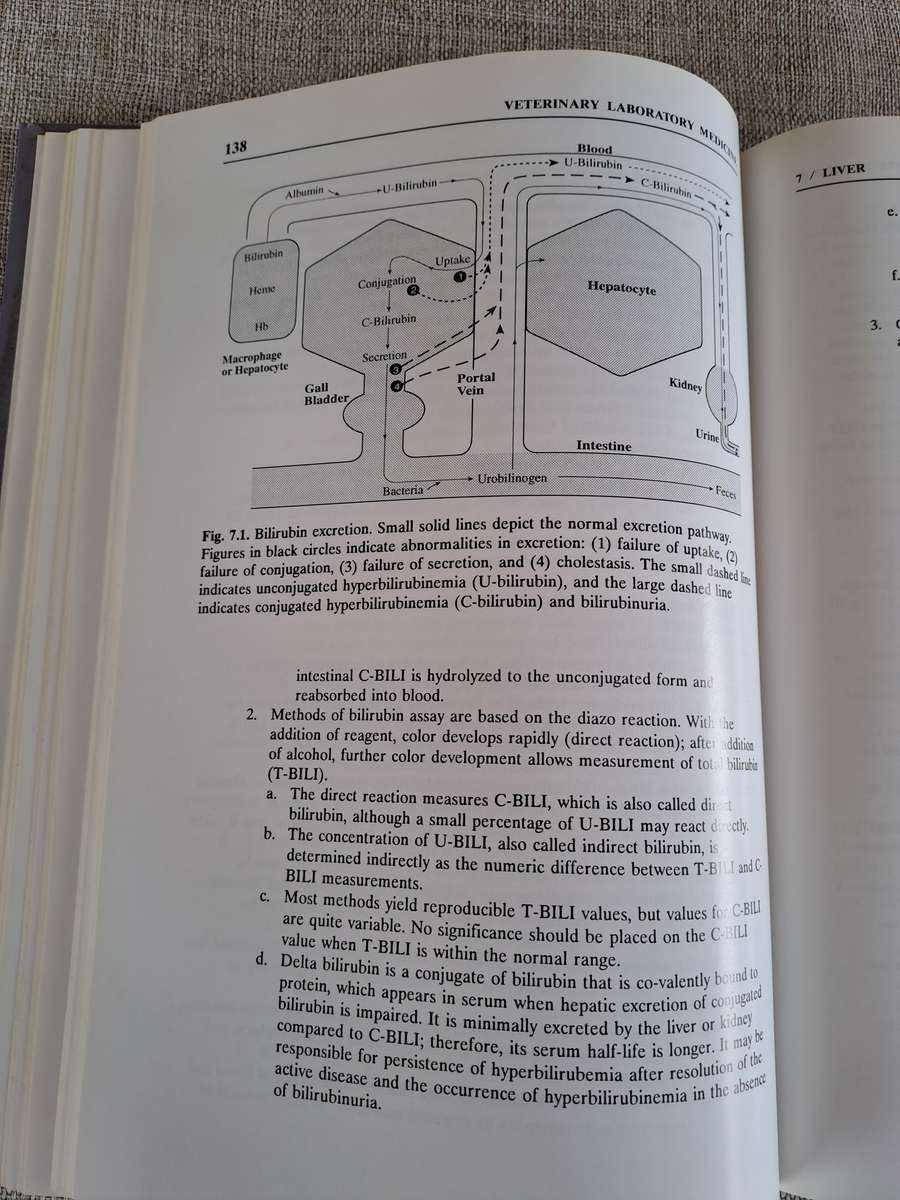 Veterinary Laboratory Medicine  Clinical Pathology 3rd Edition