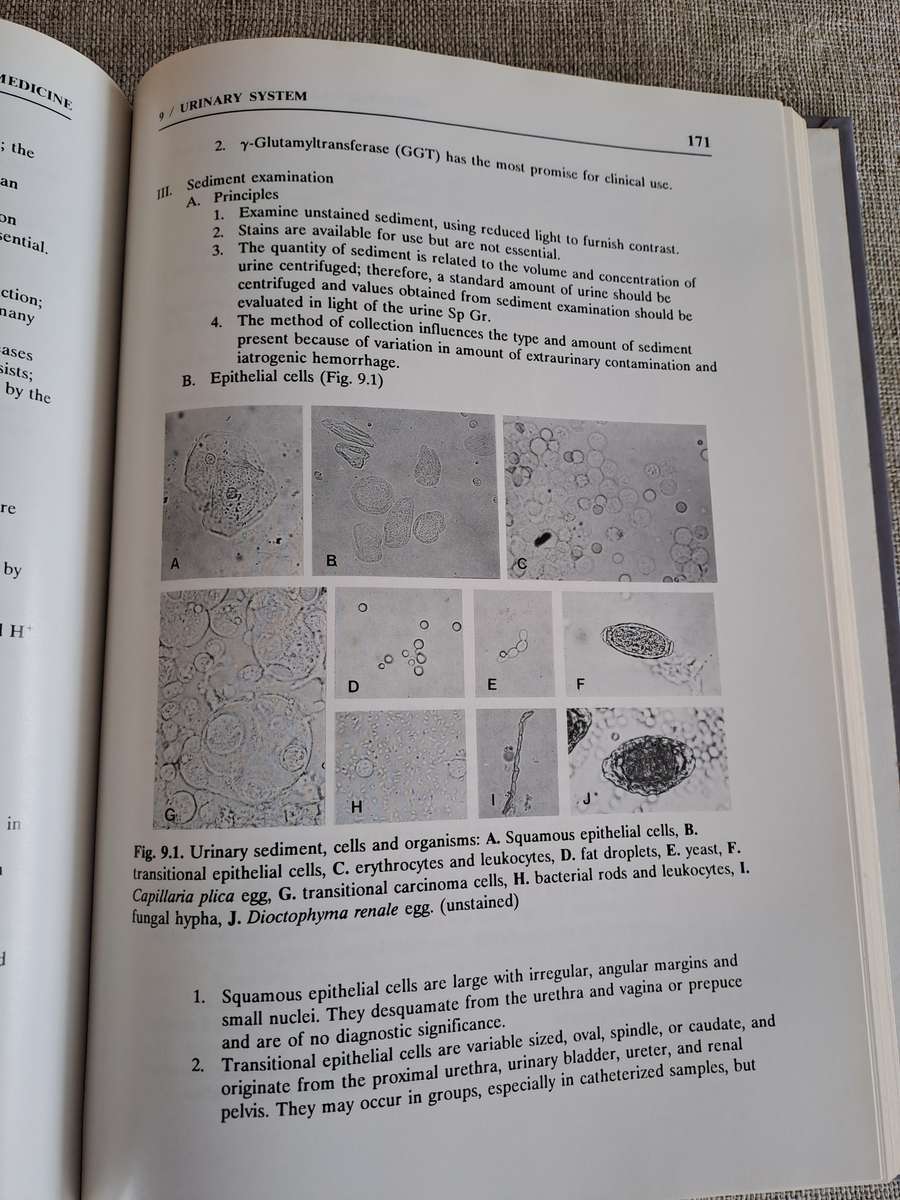Veterinary Laboratory Medicine  Clinical Pathology 3rd Edition