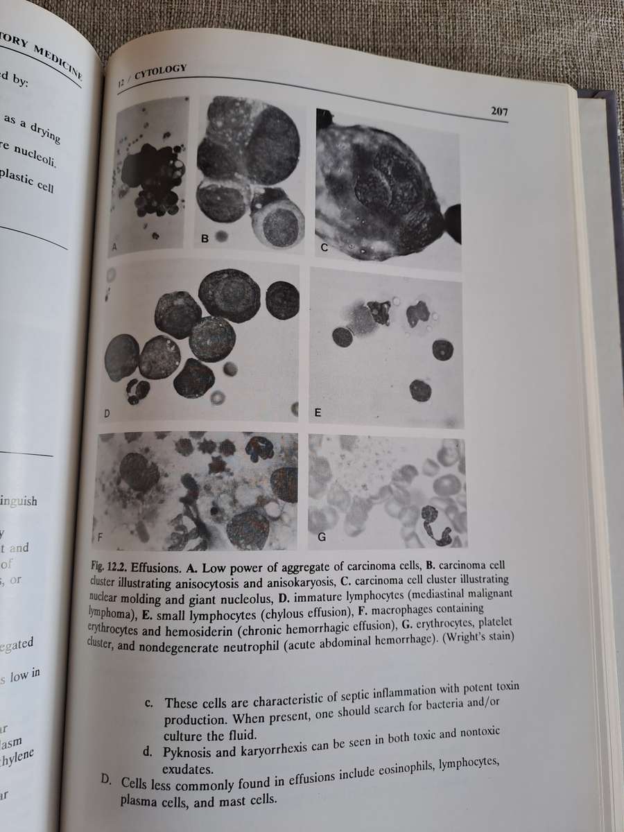 Veterinary Laboratory Medicine  Clinical Pathology 3rd Edition