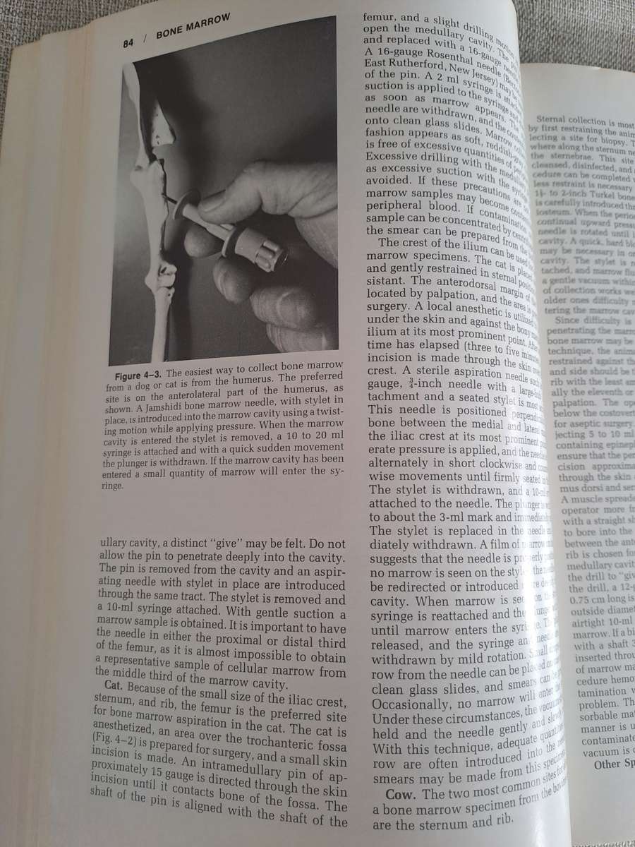 Veterinary Clinical Pathology 4th Edition.