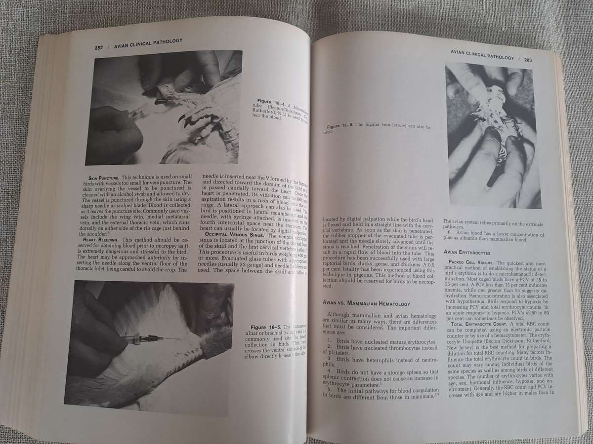 Veterinary Clinical Pathology 4th Edition.