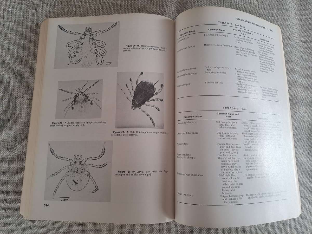 Veterinary Clinical Pathology 4th Edition.