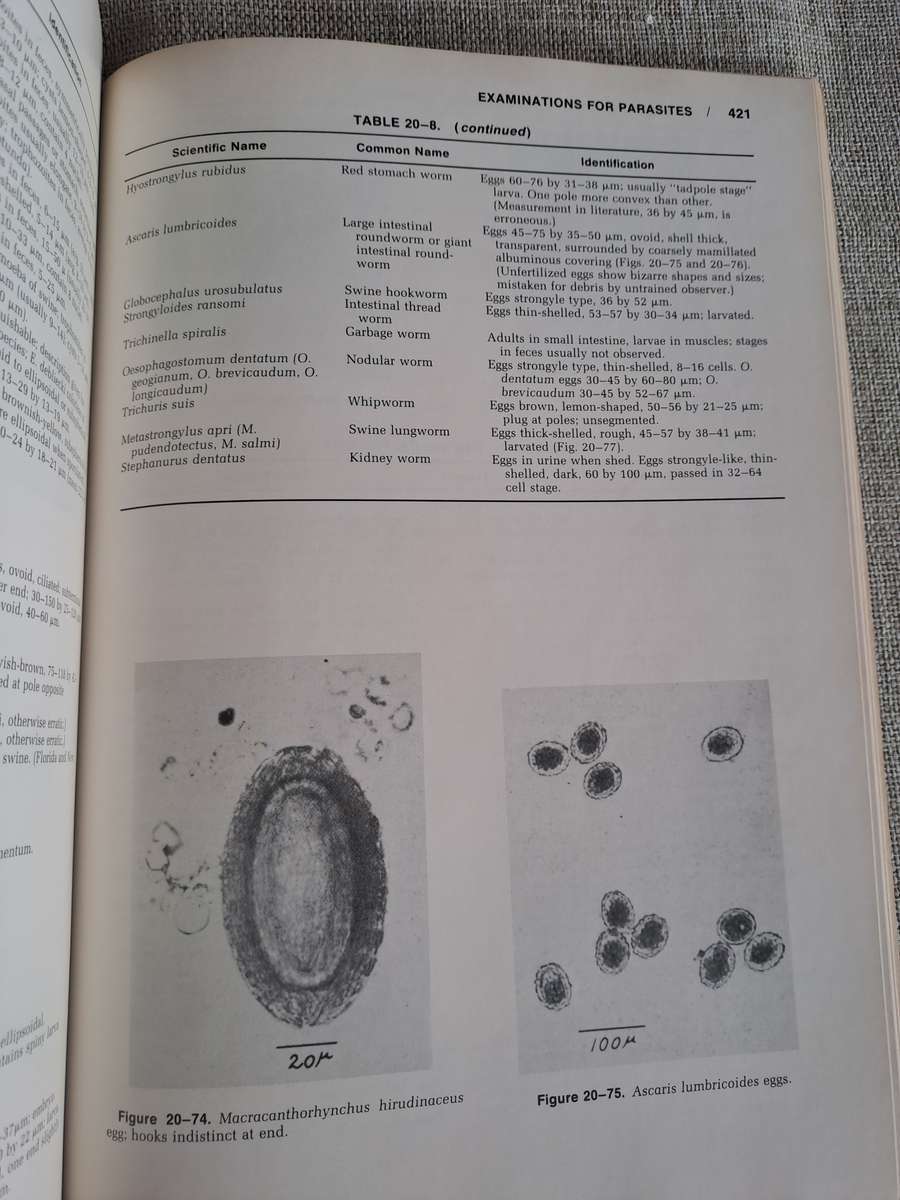 Veterinary Clinical Pathology 4th Edition.