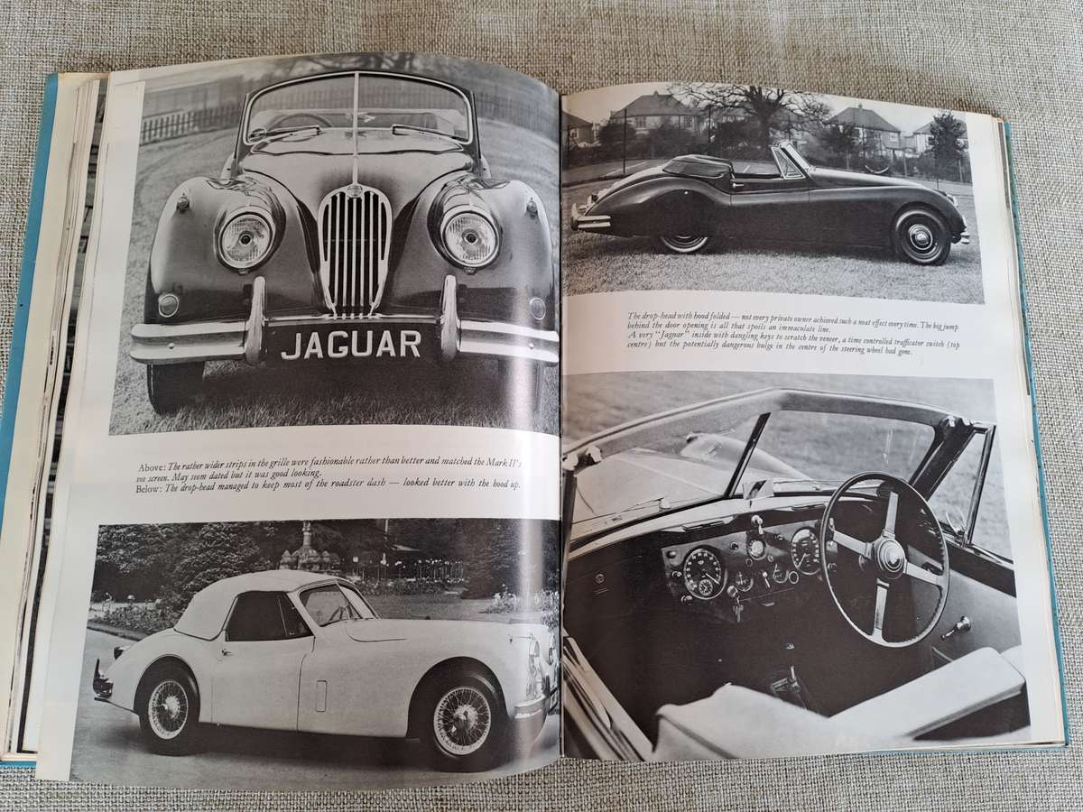 The Jaguar Tradition - Michael Frostick