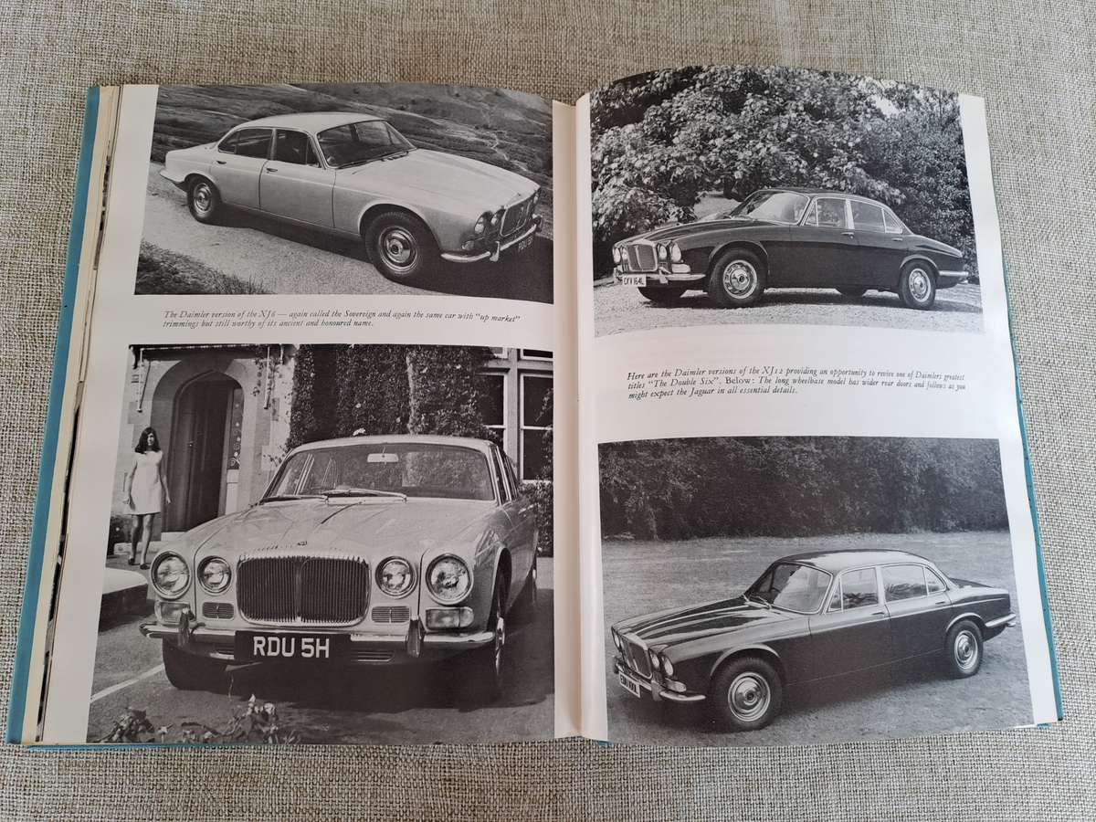 The Jaguar Tradition - Michael Frostick