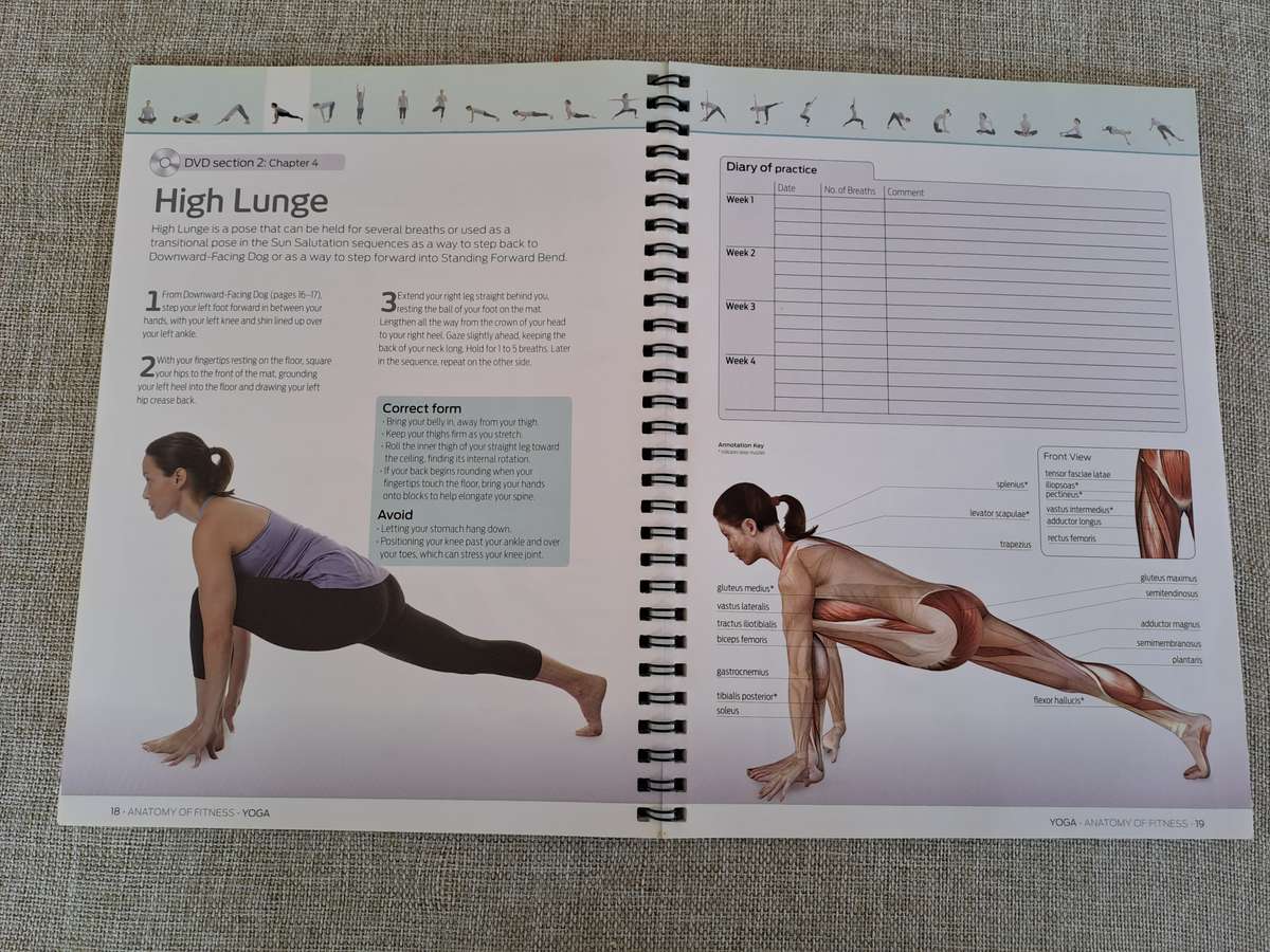 Yoga: Anatomy of Fitness  Book & DVD Box Set