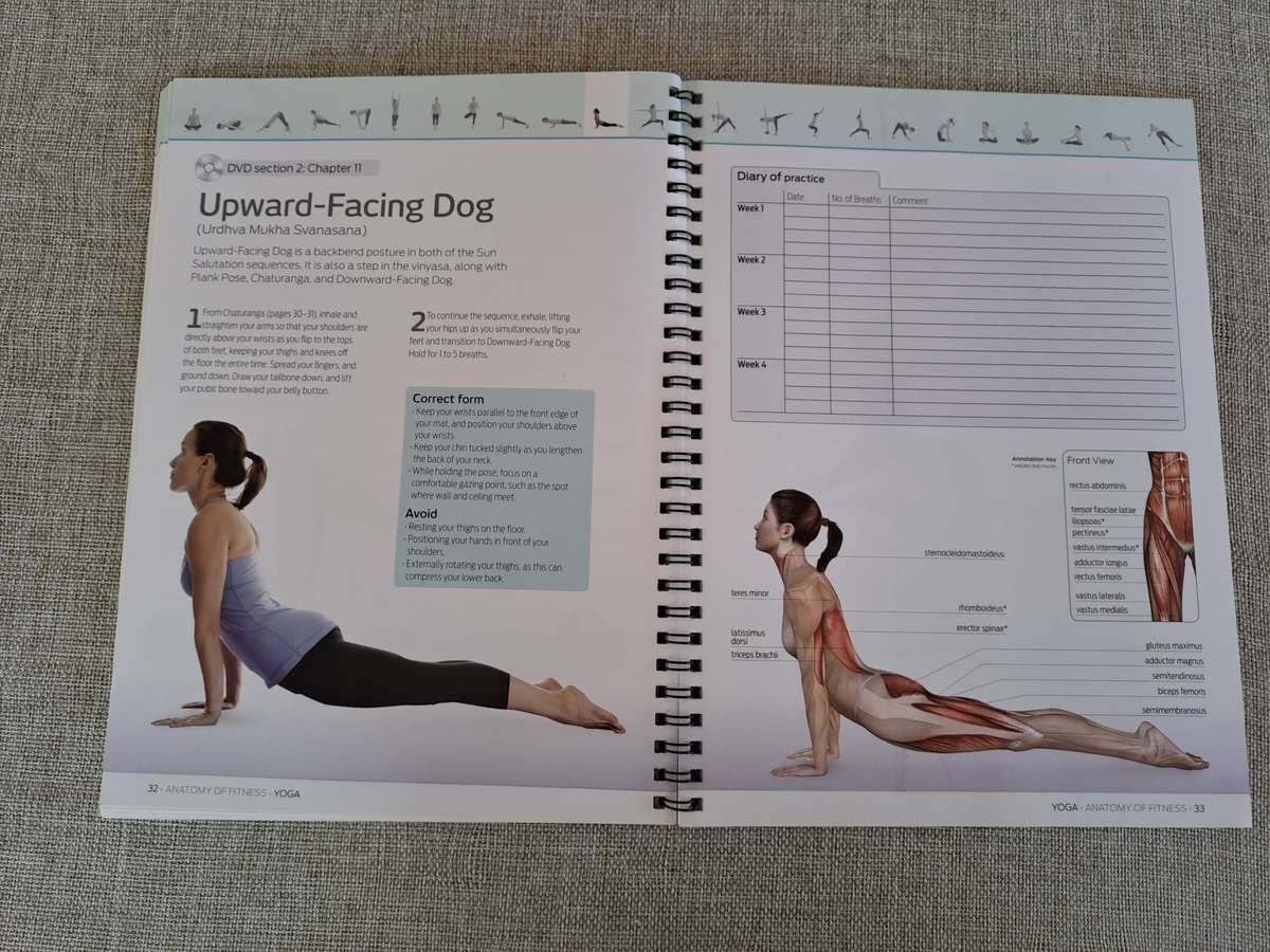 Yoga: Anatomy of Fitness  Book & DVD Box Set