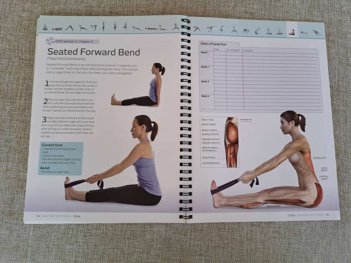 Yoga: Anatomy of Fitness  Book & DVD Box Set
