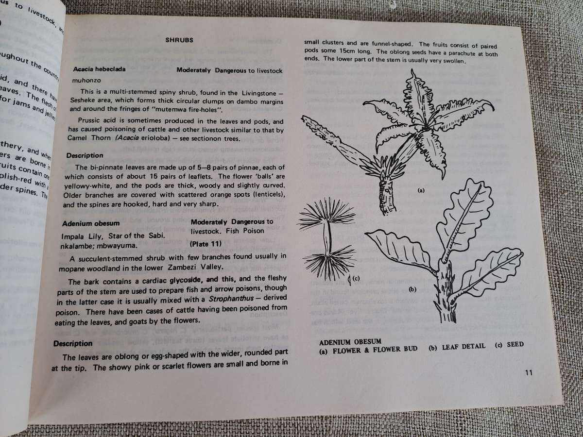 Dont Eat These: A guide to some local African Poisonous Plants (including mushrooms)