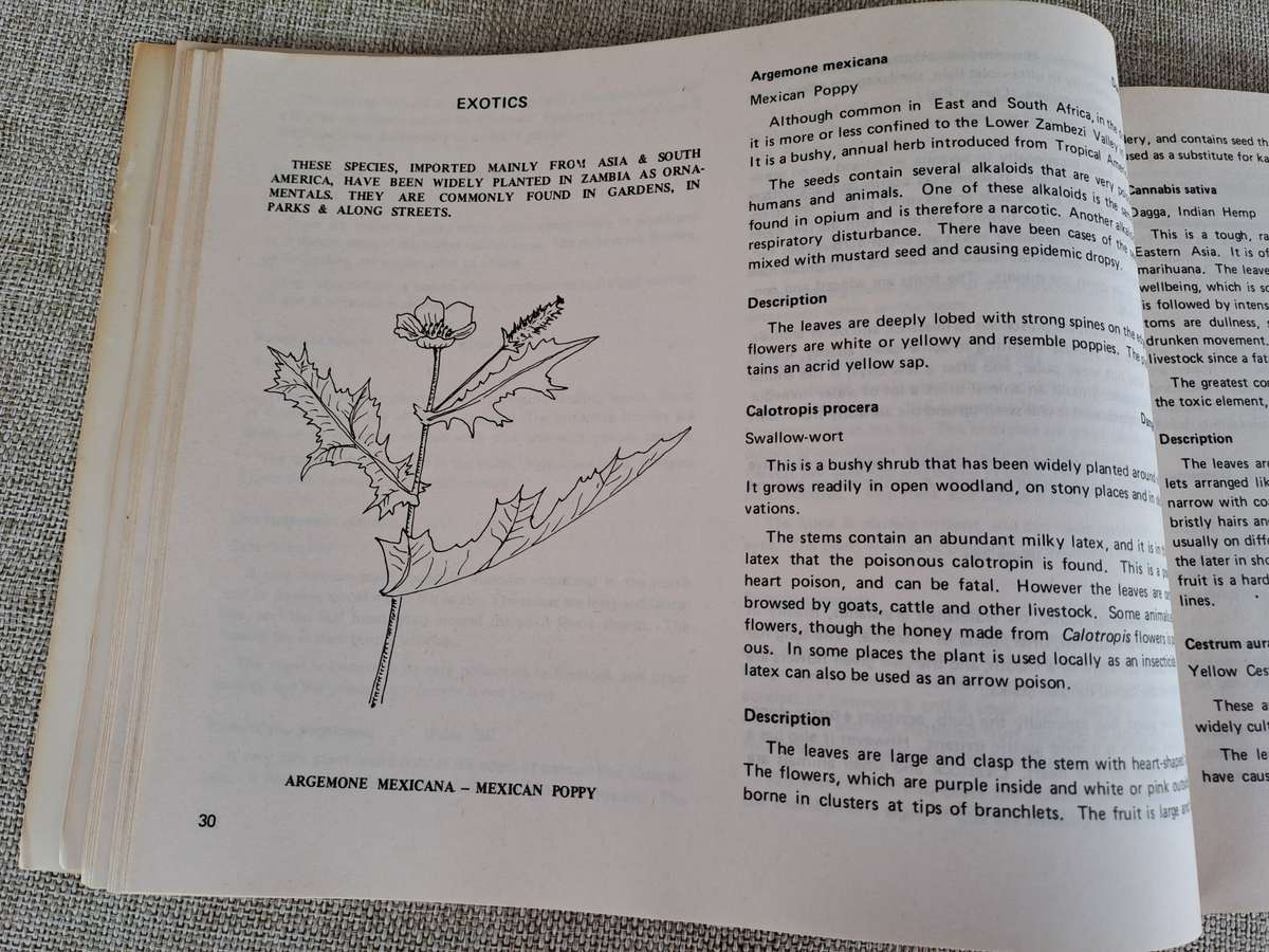 Dont Eat These: A guide to some local African Poisonous Plants (including mushrooms)