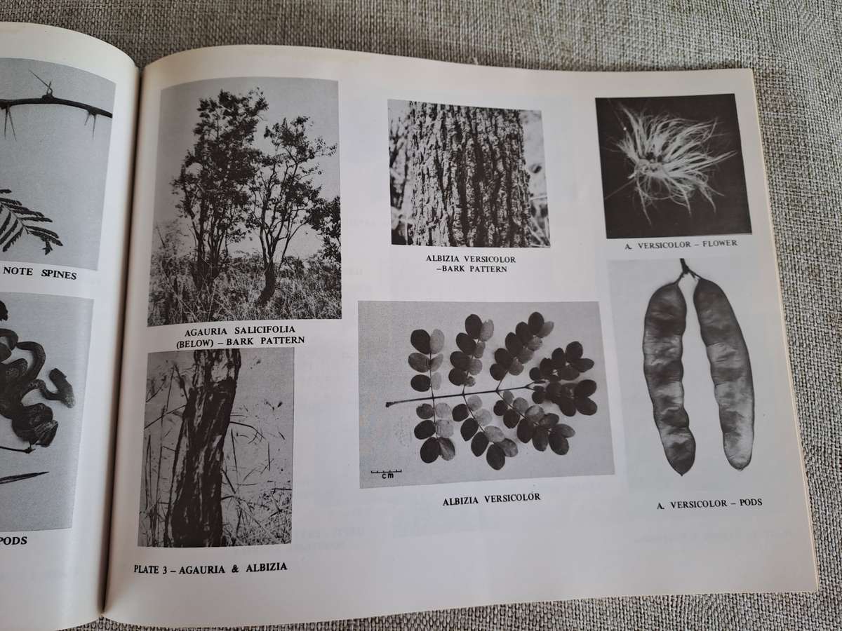 Dont Eat These: A guide to some local African Poisonous Plants (including mushrooms)