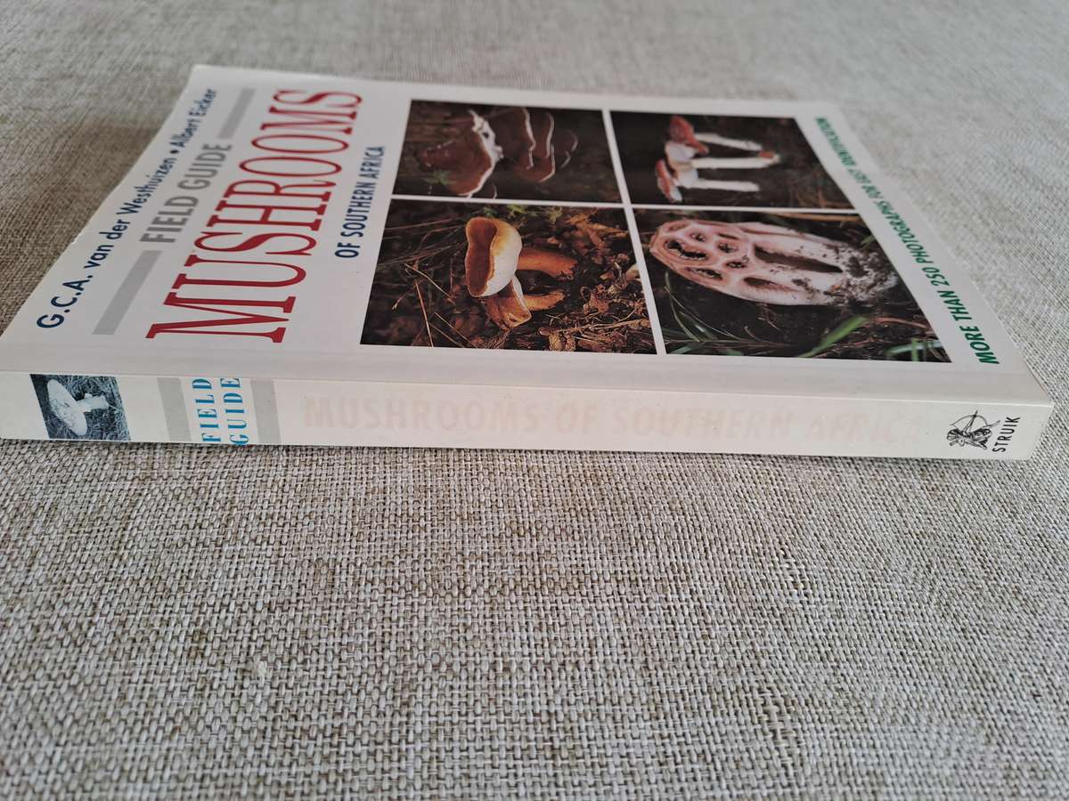 Field Guide Mushrooms of Southern Africa