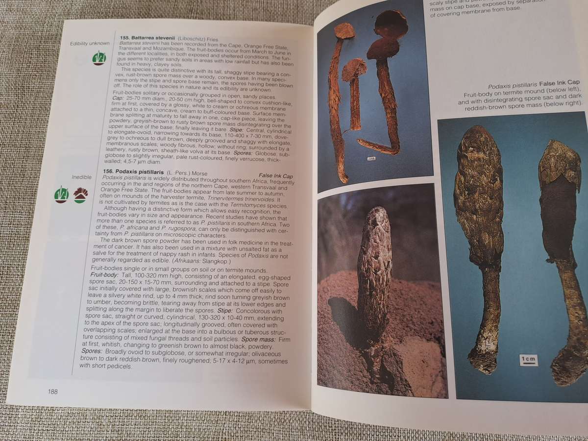 Field Guide Mushrooms of Southern Africa