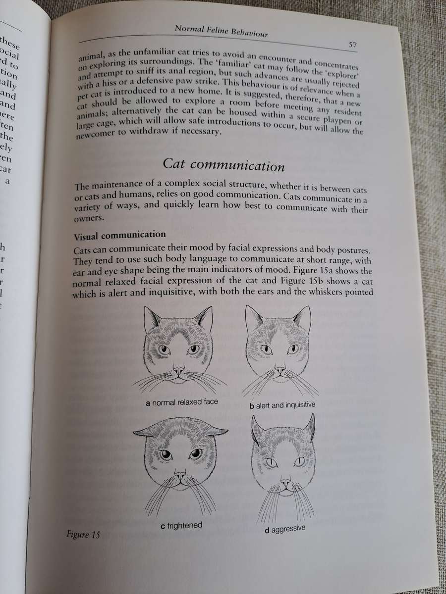 Veterinary Notes for Cat Owners - Trevor & Jean Turner