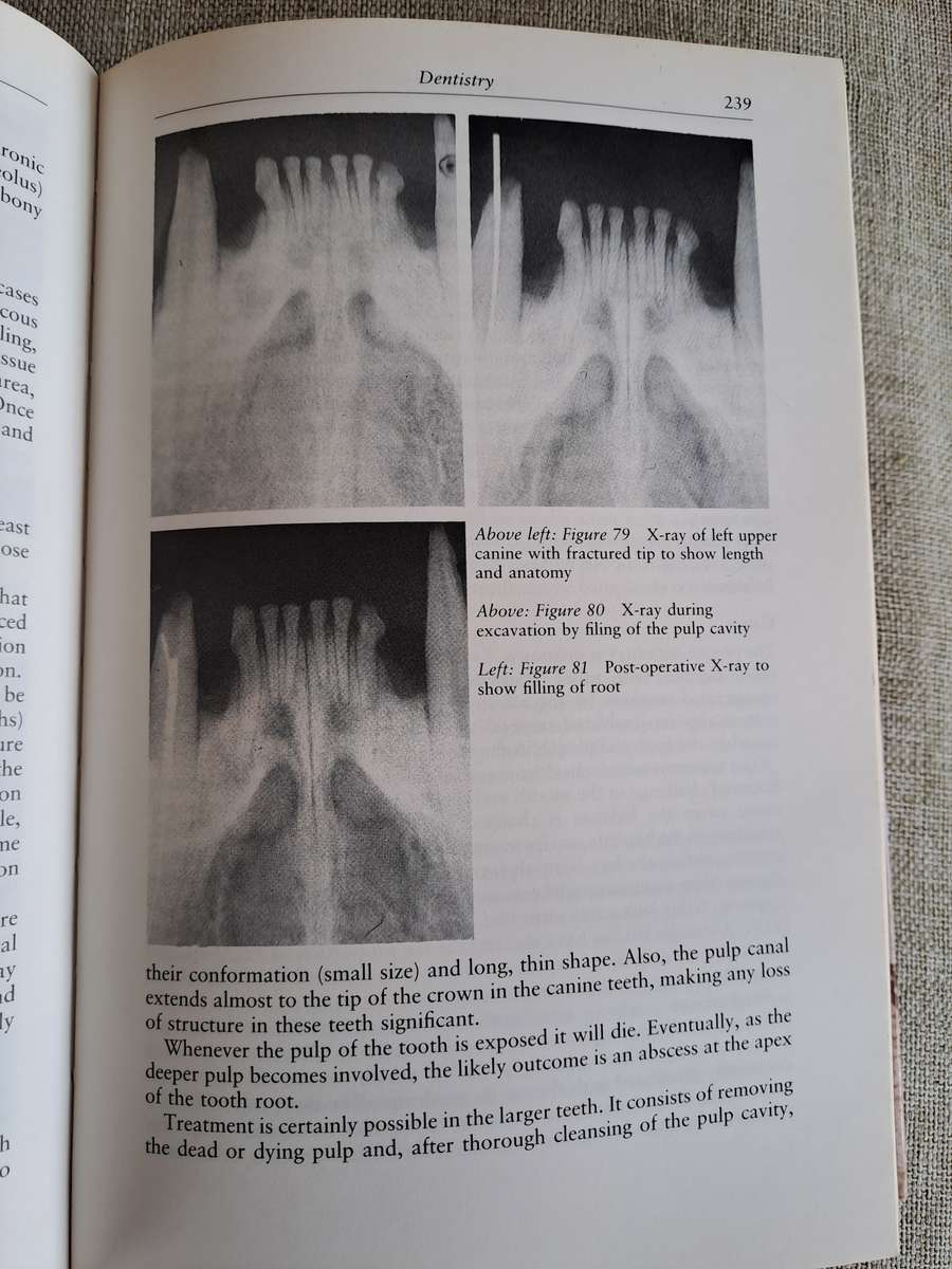 Veterinary Notes for Cat Owners - Trevor & Jean Turner